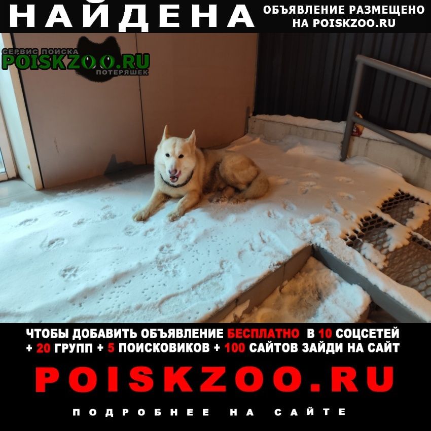 ���� ������� ������ ������