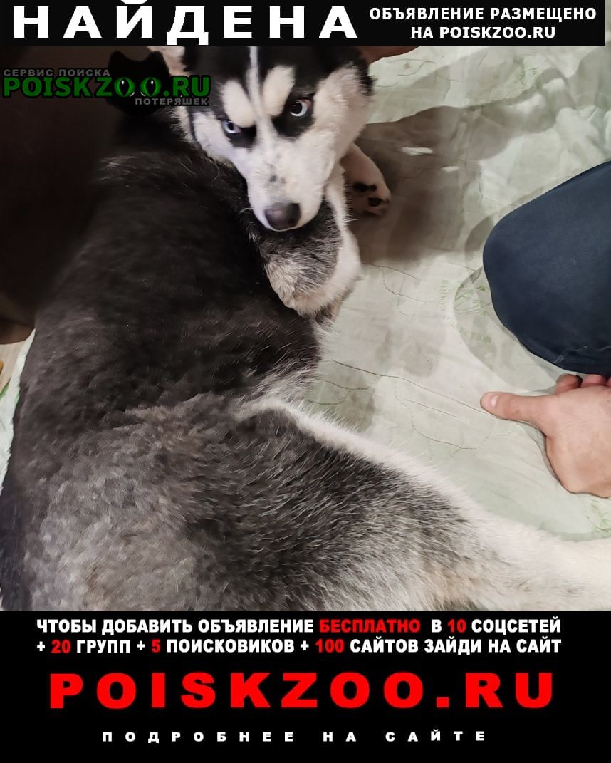 ���� ������� ������