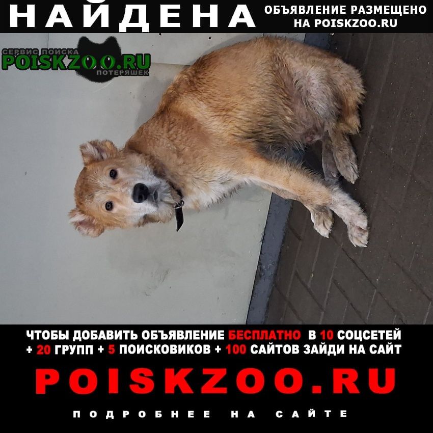 ���� ������� ������ ������ ����� ������