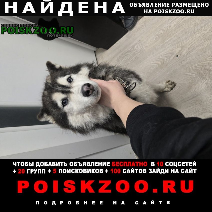 ���� ������� ������ ������ ��� 21:. ����� ������ �����