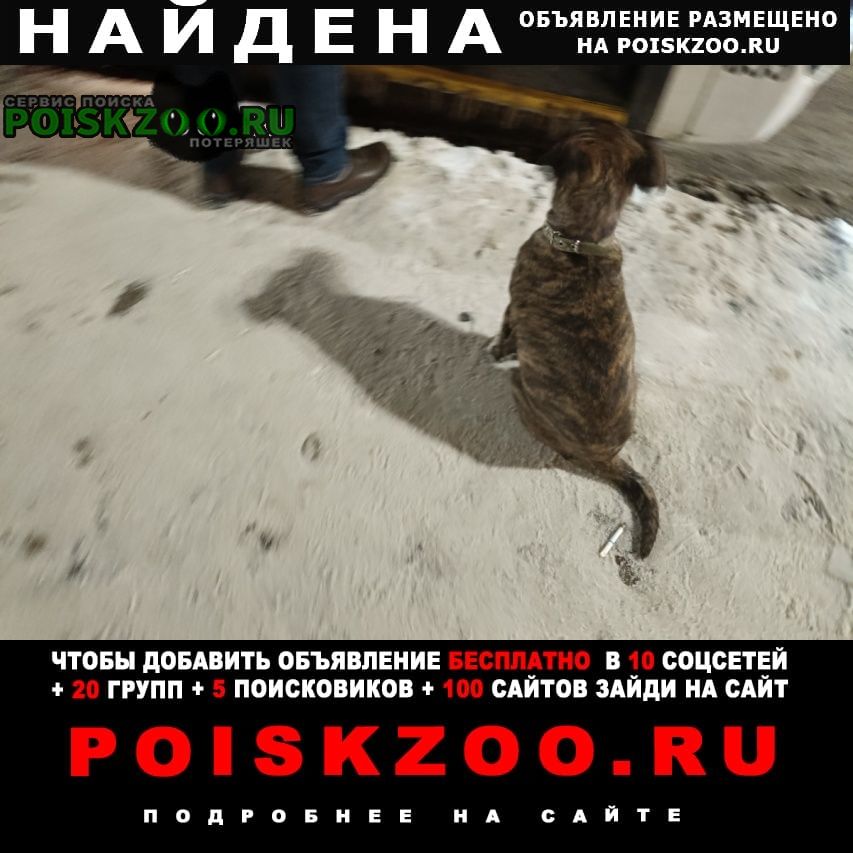 ���� ������� ������ ������ �. ������