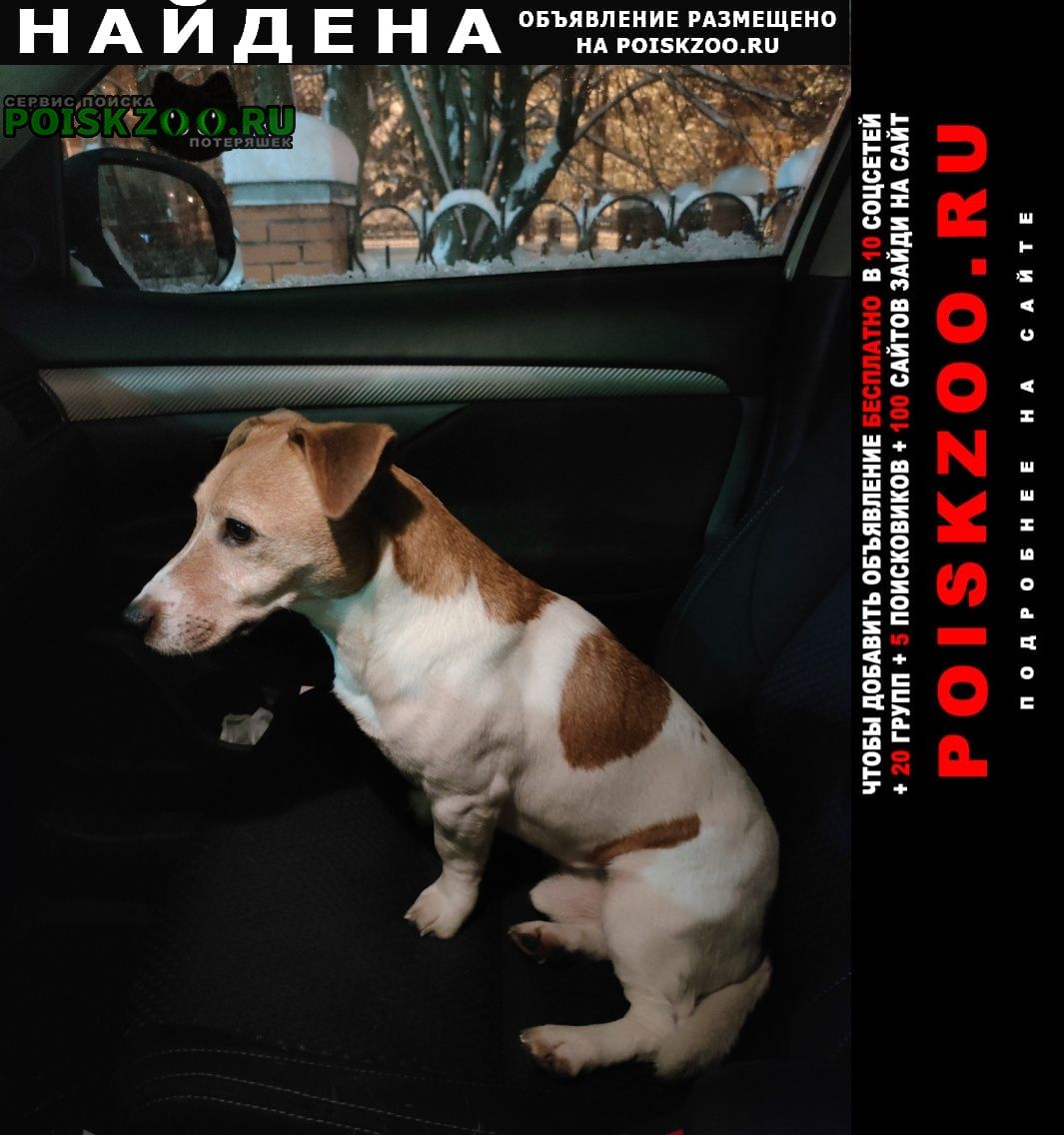 ���� ������� ������ ������ �������, ����� ���