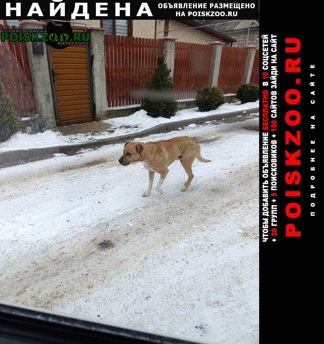 ���� ������� ������ ������ �������� ���������