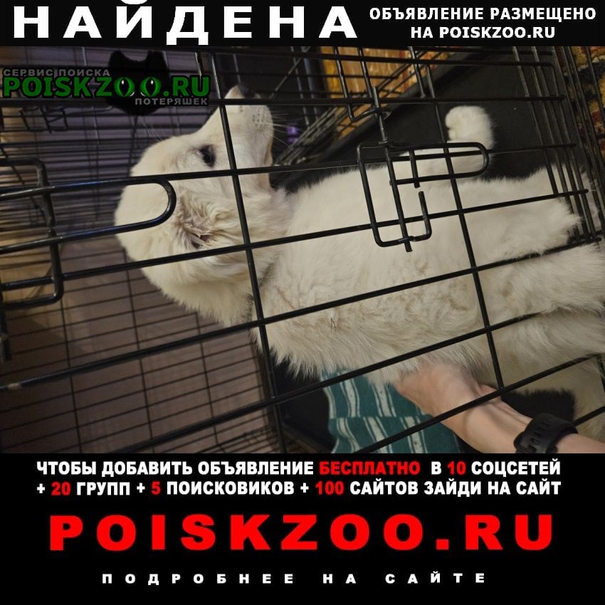 ���� ������� ������ ������