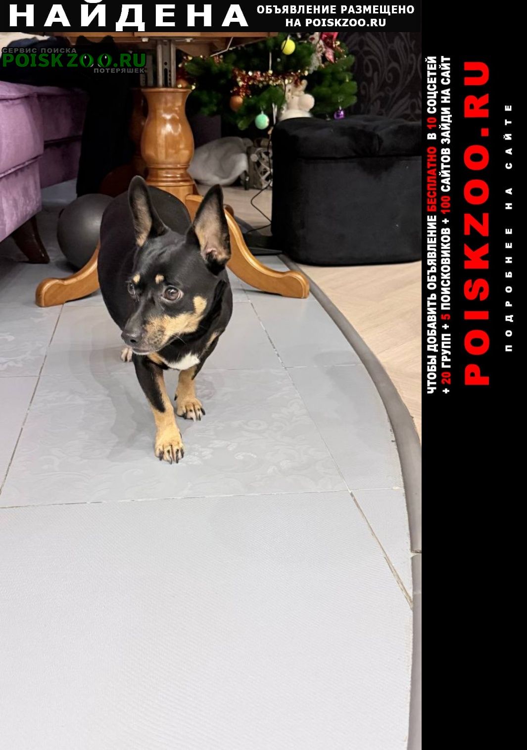 ���� ������� ������