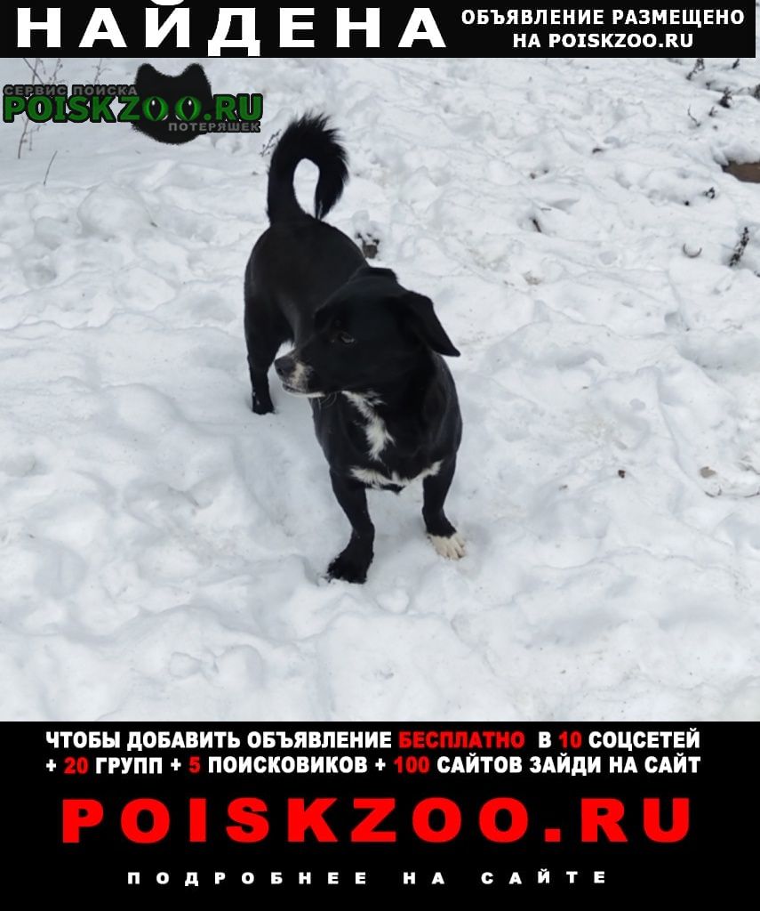 ���� ������� ������