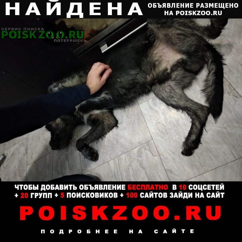 ���� ������� ������ ������ ����� ���������