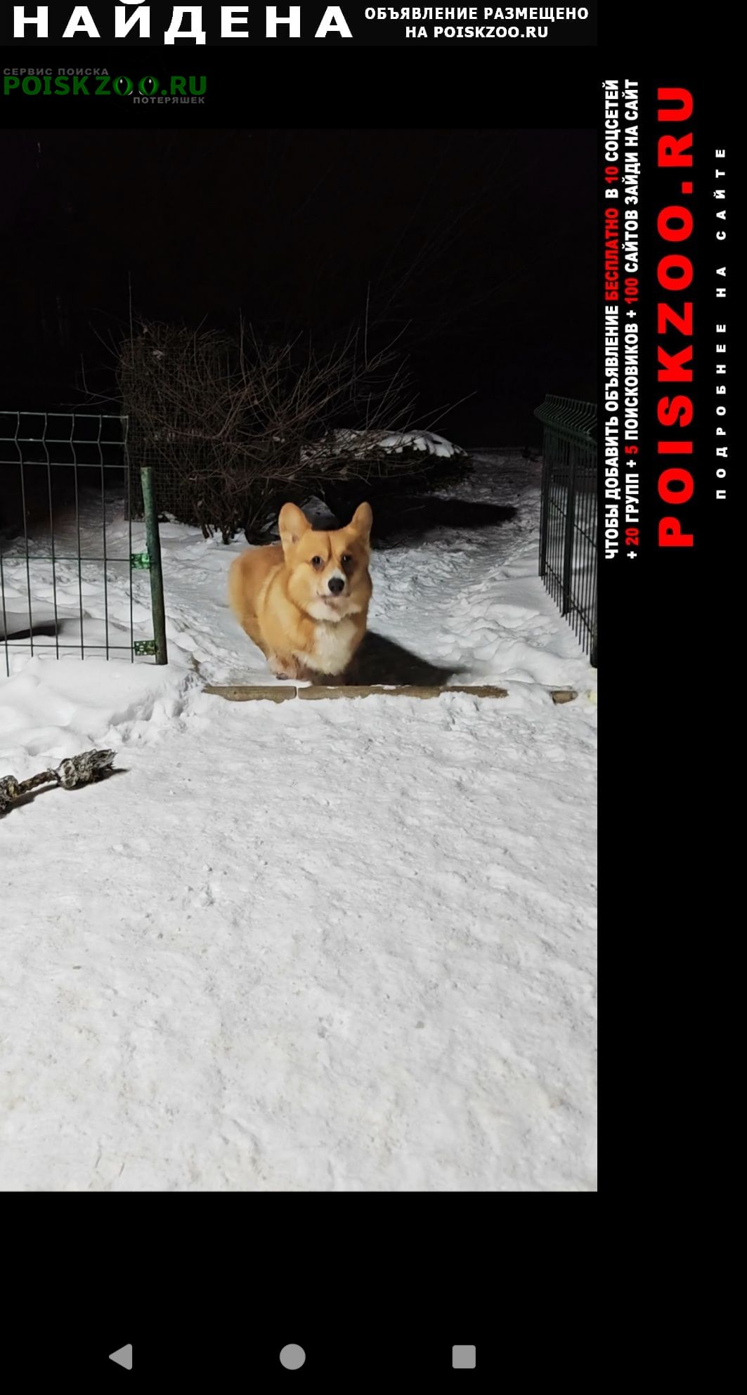 ���� ������� ������