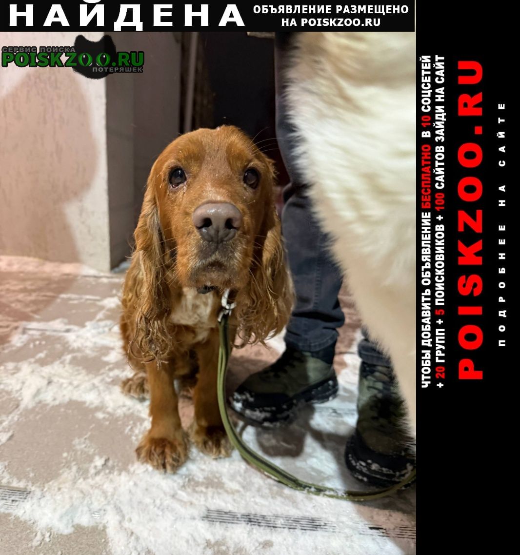 ���� ������� ������ ������