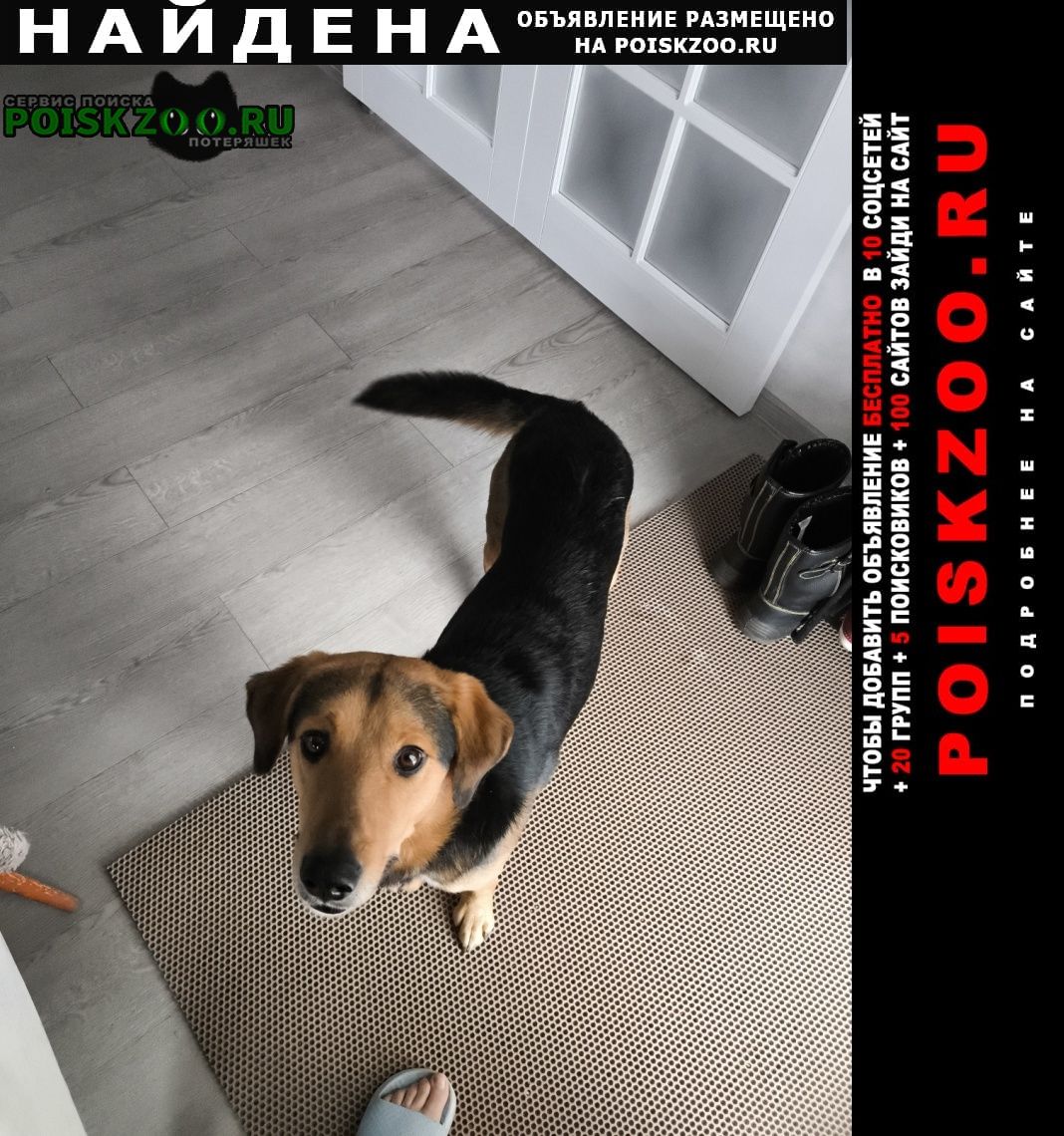 ���� ������� ������ ������