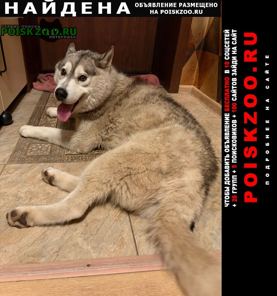 ���� ������� ������ ������ �����, �������, ������ ����������