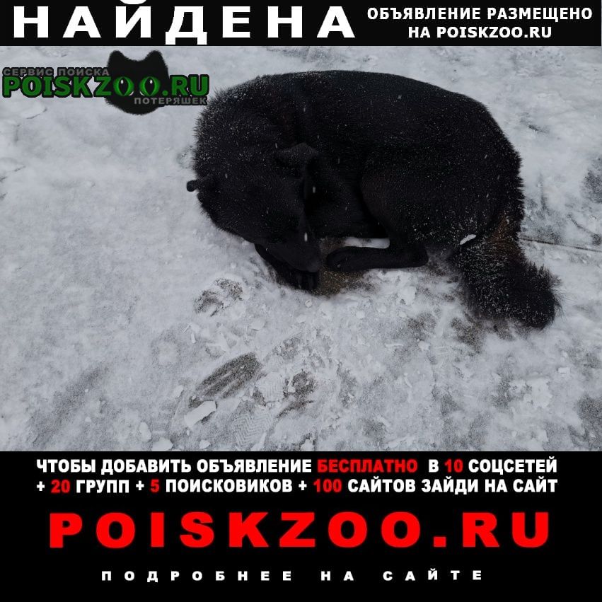 ���� ������� ������