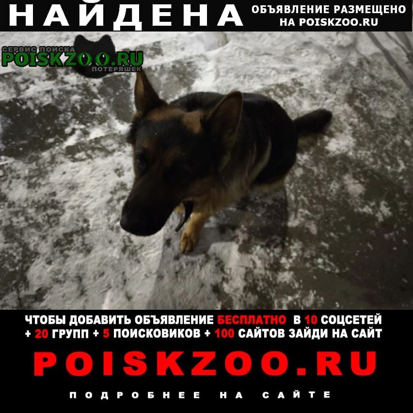 ���� ������� ������ ������� �������� ����� ������