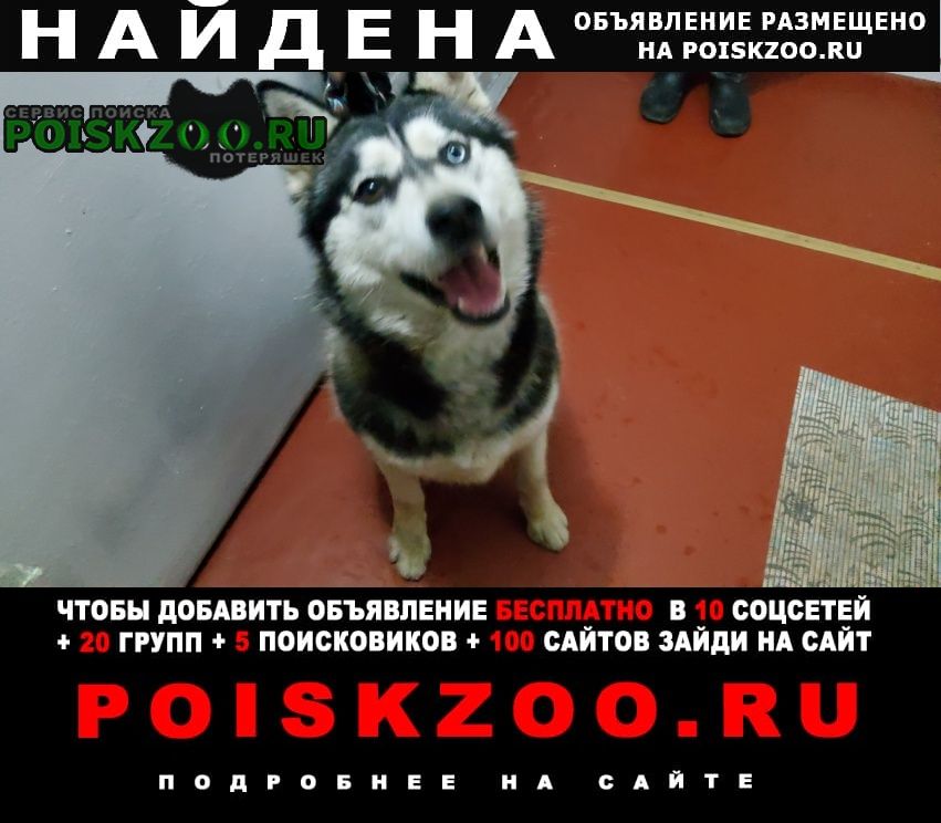 ���� ������� ������