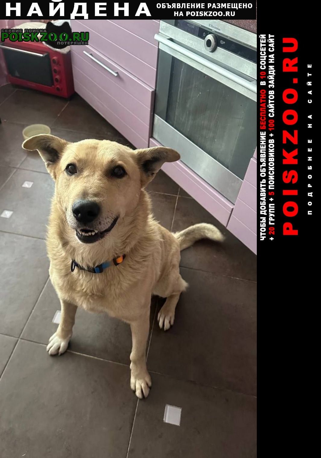 ���� ������� ������ ������