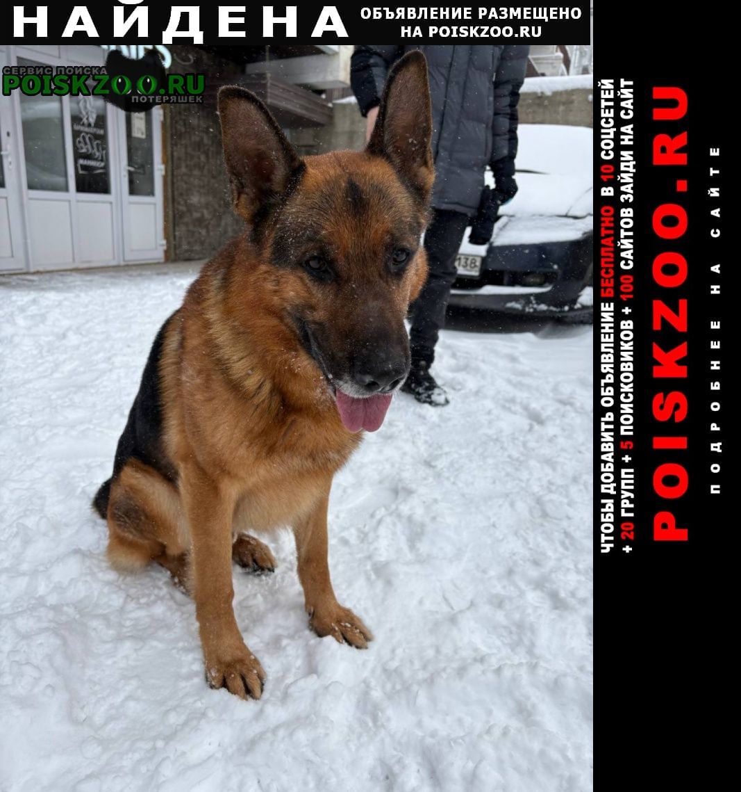 ���� ������� ������ ������ �������� �������