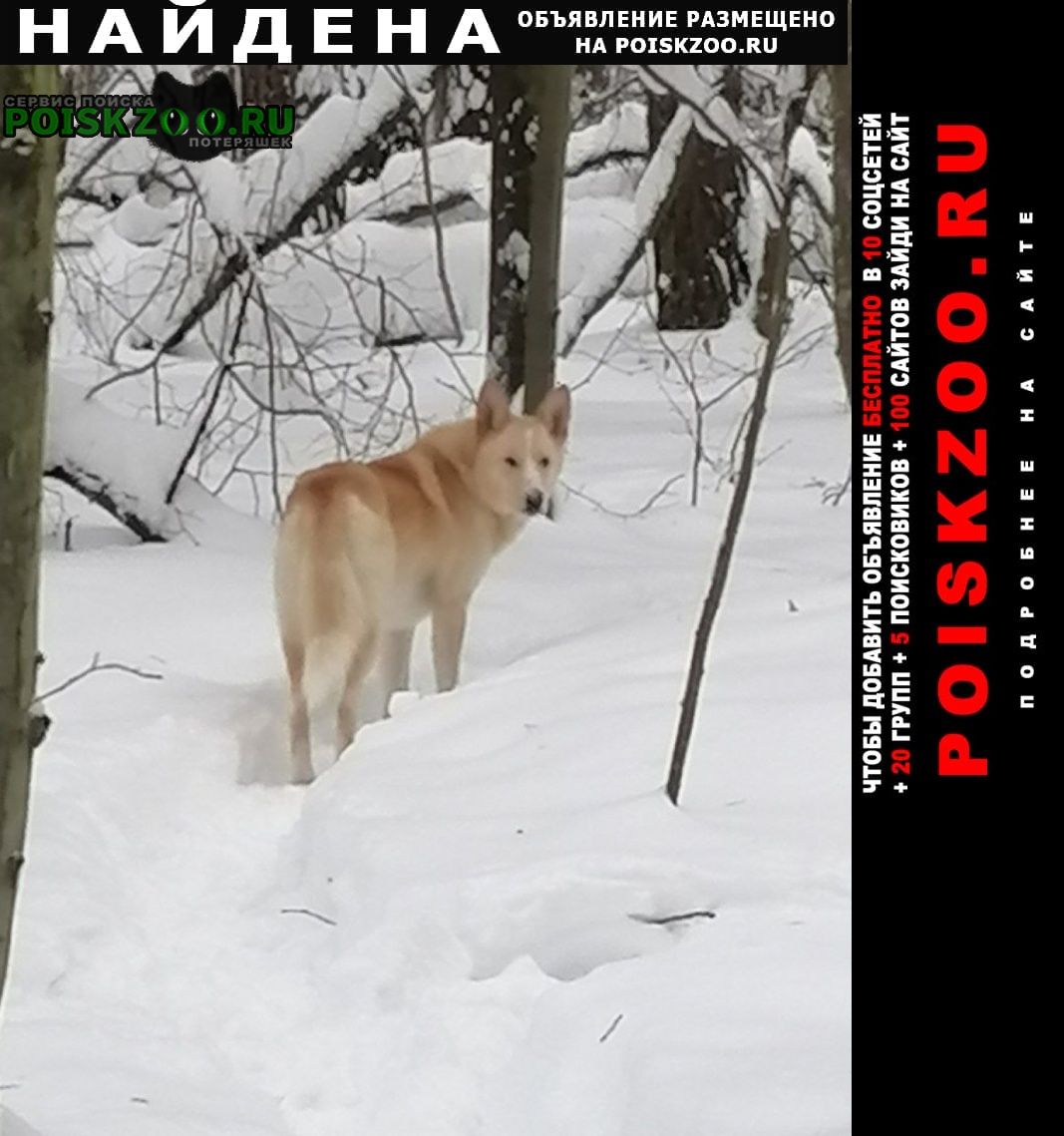 ���� ������� ������ ������ �� �����, ����� �������