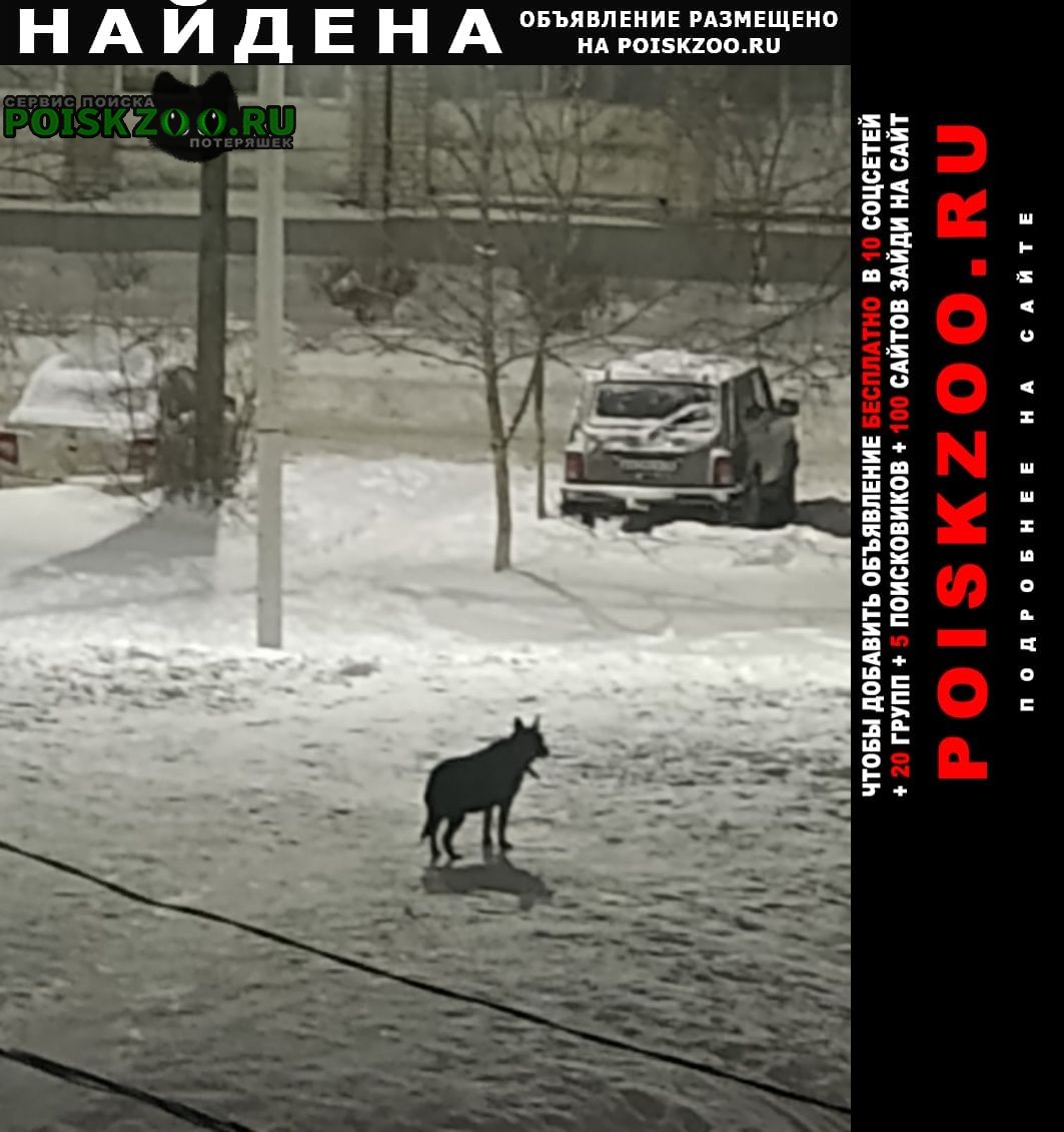 ���� ������� ������ ���� ��� ����� �� 1 �����, ��� ������