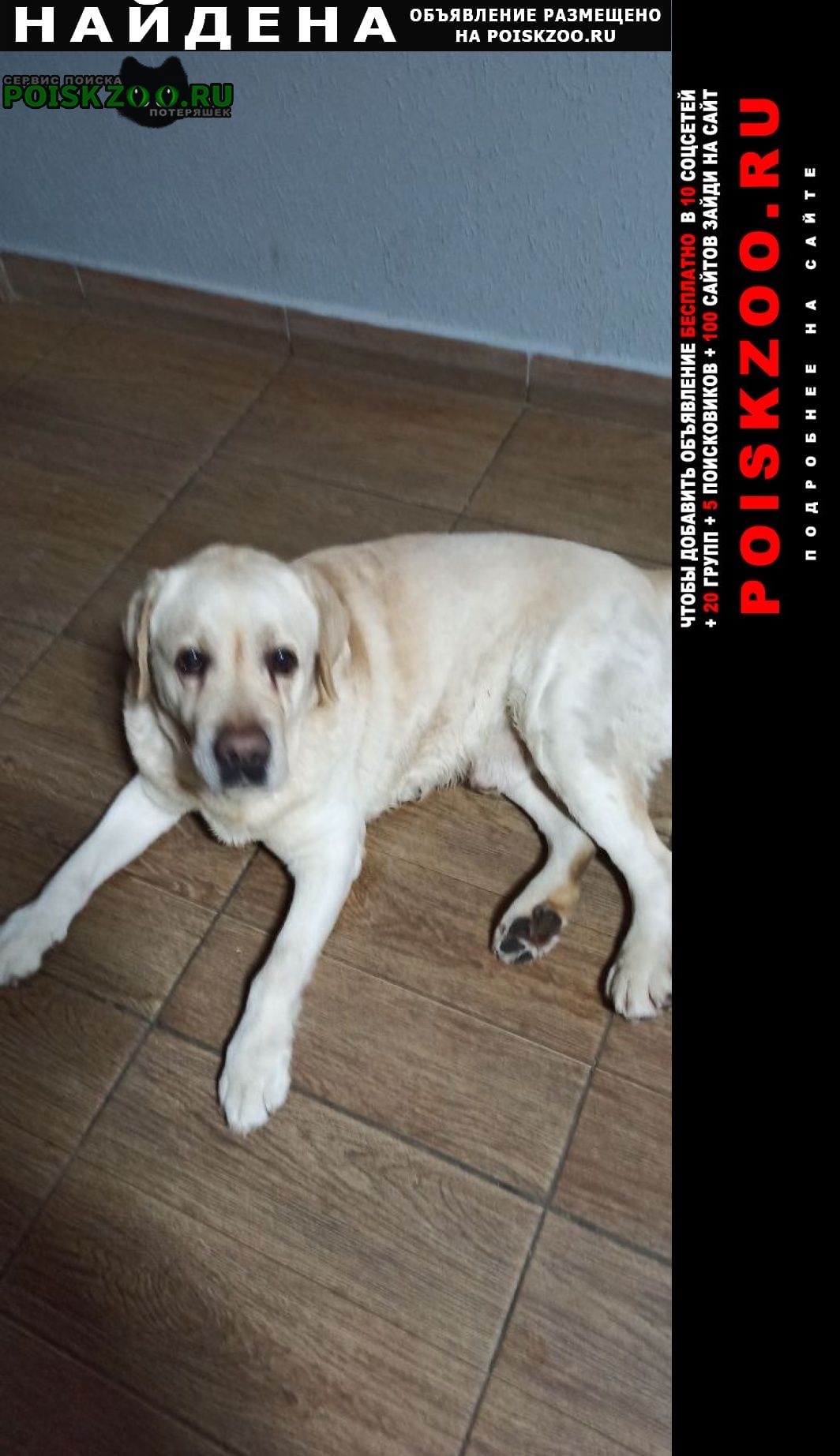 ���� ������� ������ ������ ��������