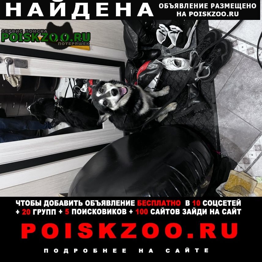 ���� ������� ������ ������ �������� ���