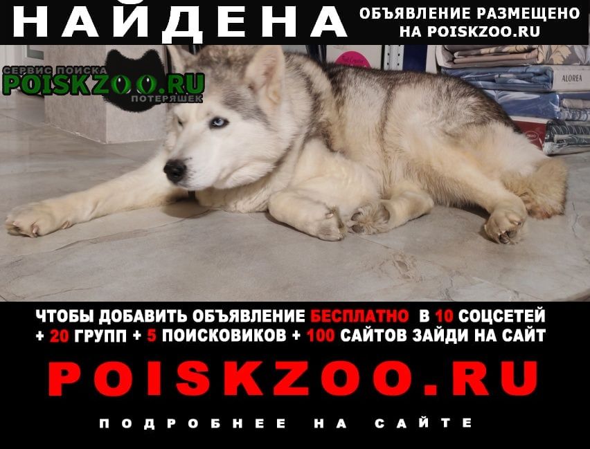 ���� ������� ������