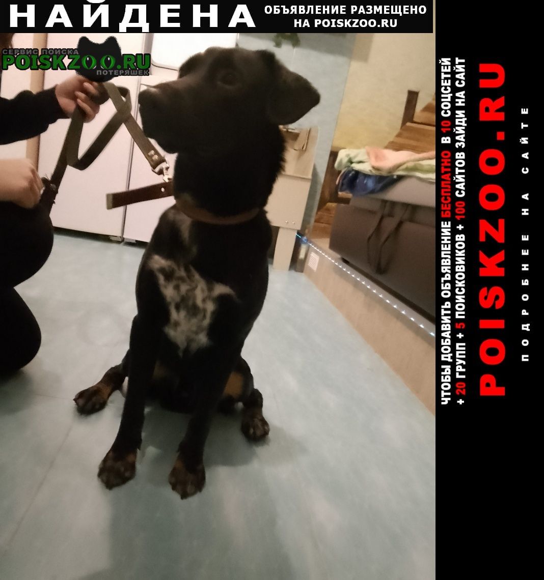 ���� ������� ������ ������