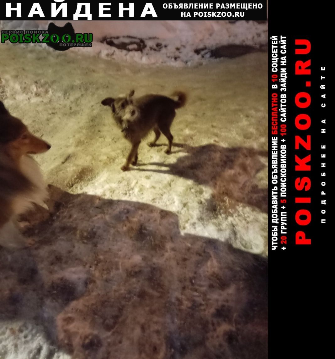 ���� ������� ������ ������ �����, ���������, � ���������