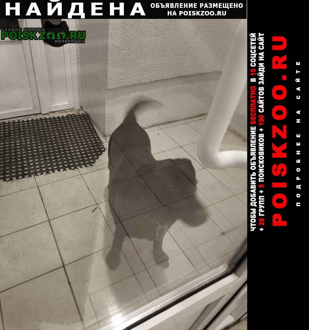 ���� ������� ������ ������