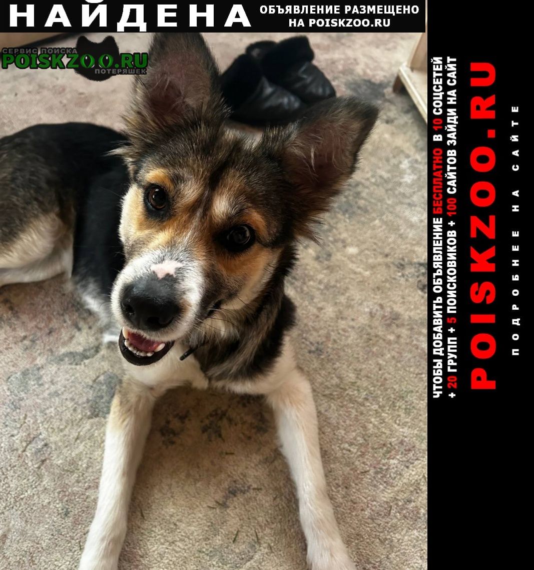 ���� ������� ������ �������, �����, �. �������