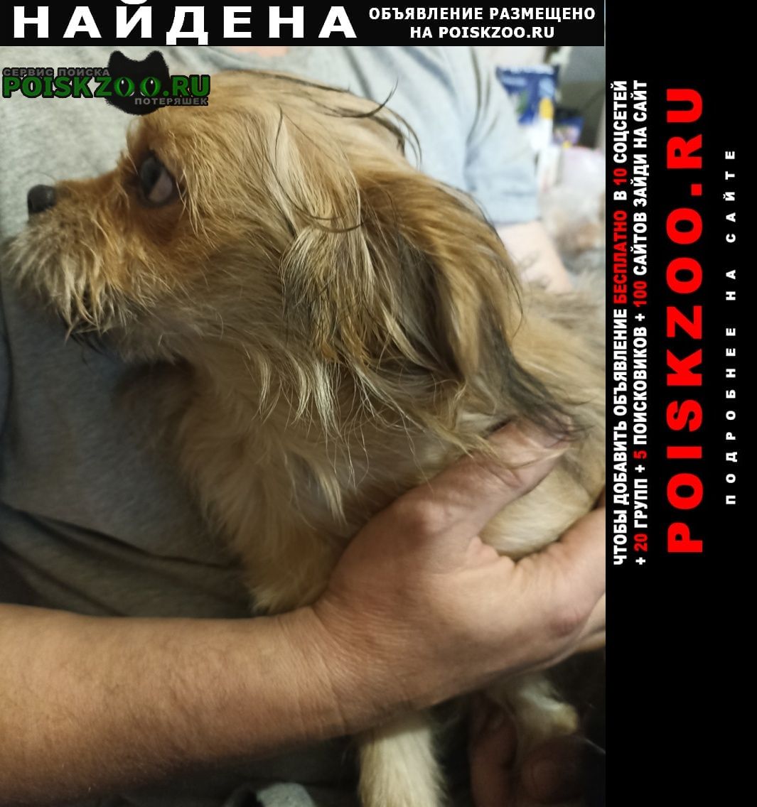 ���� ������� ������