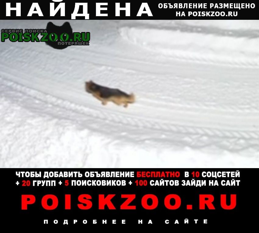 ���� ������� ������ ������ ������ �� �������