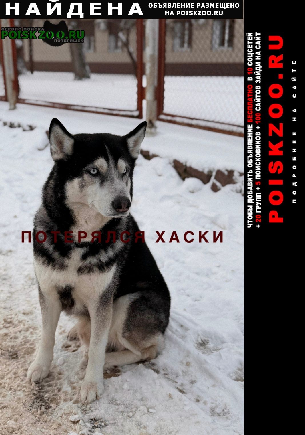 ���� ������� ������ ������