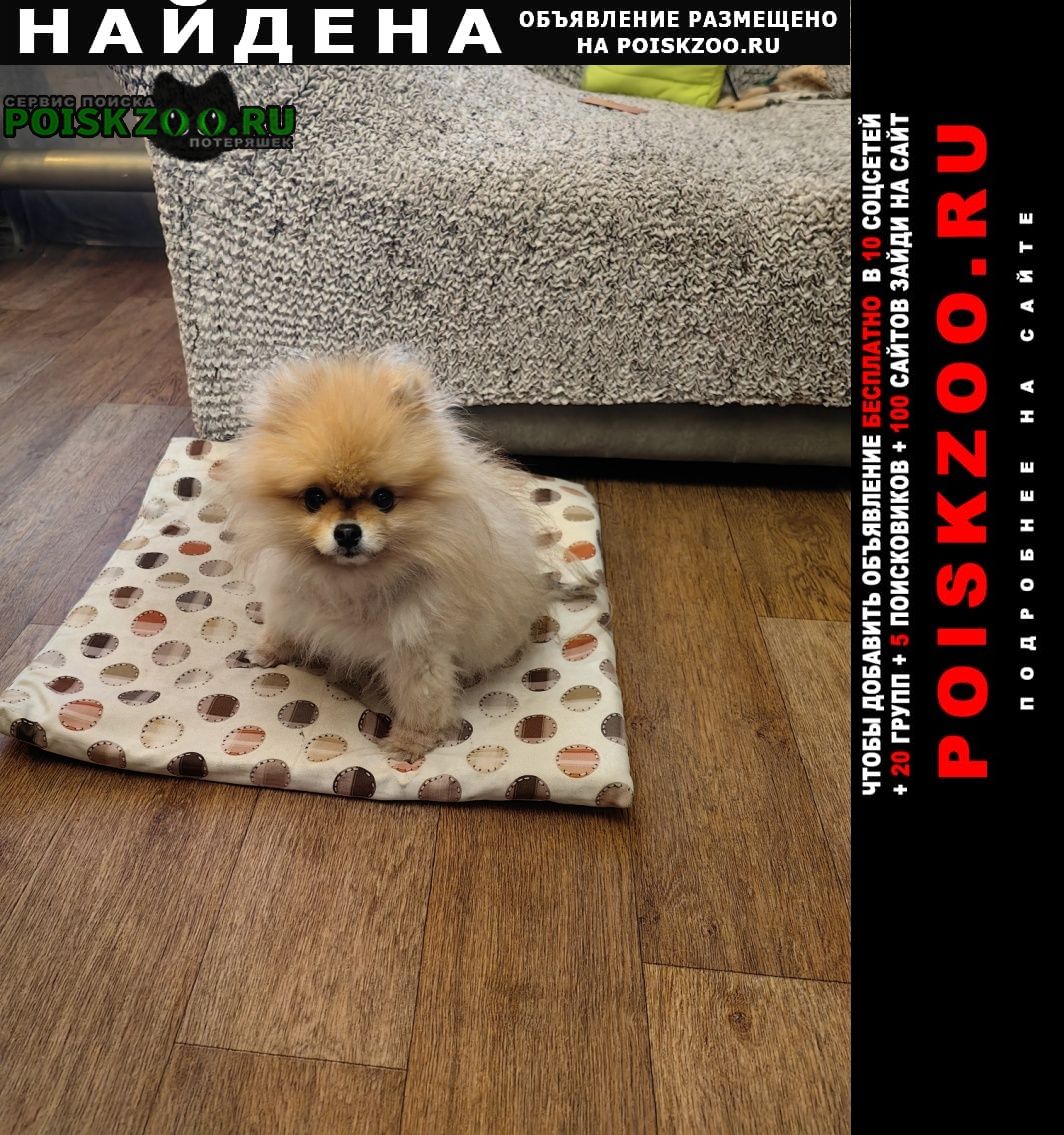 ���� ������� ������ ������ ����, �������.