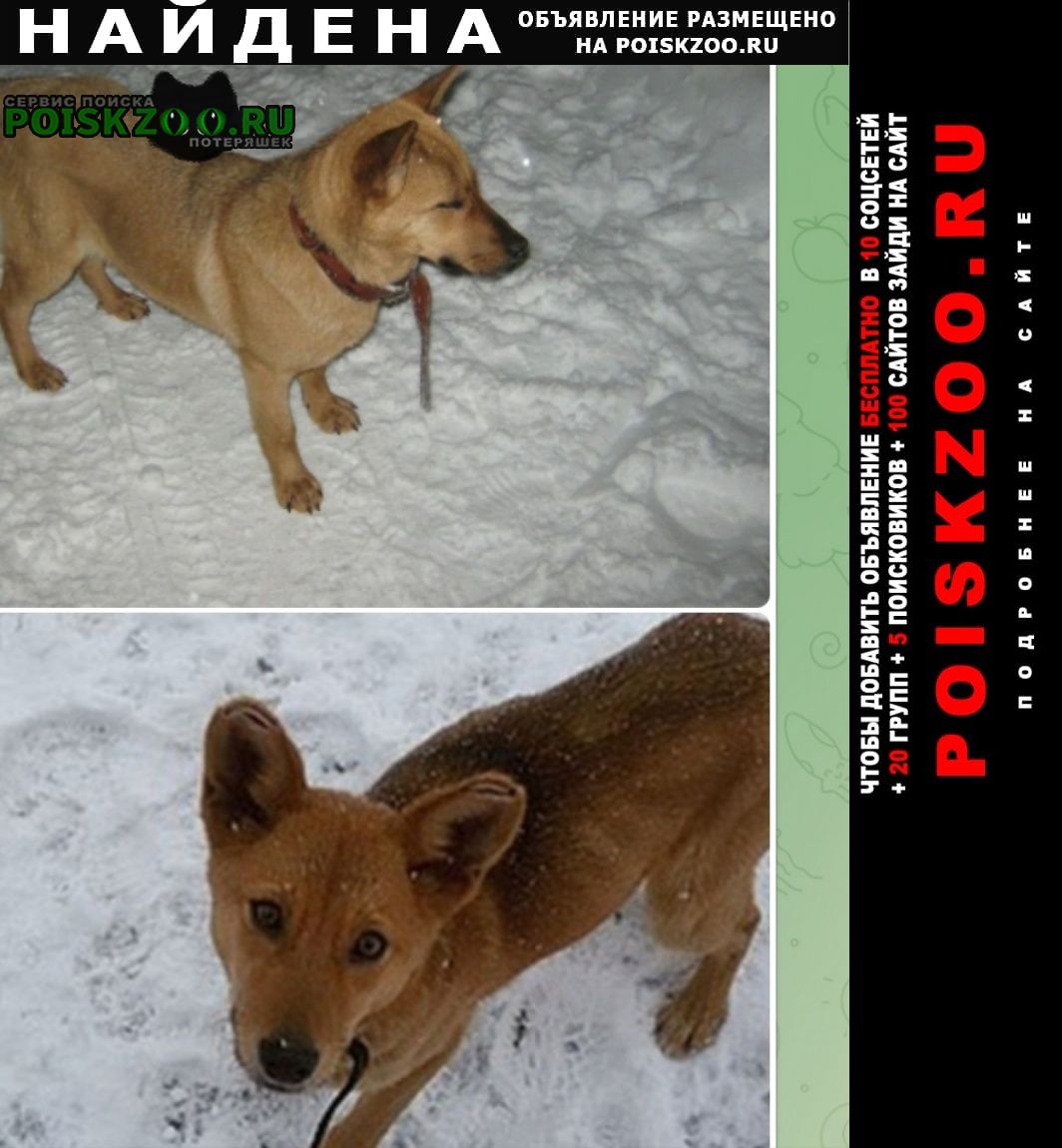 ���� ������� ������ ������� �� ���� ����� ������ � �������