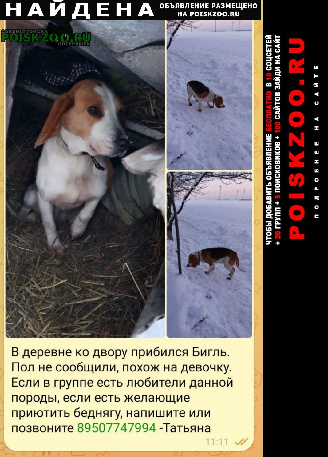 ���� ������� ������ ���������� �����, ������� ����������