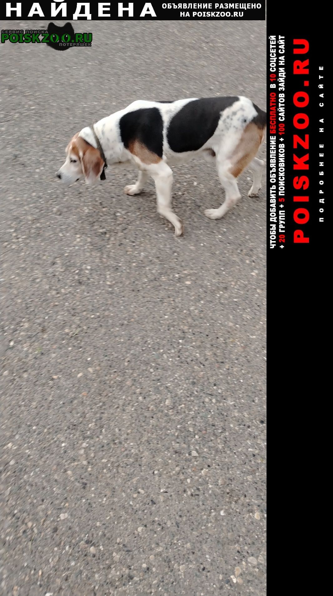 ���� ������� ������