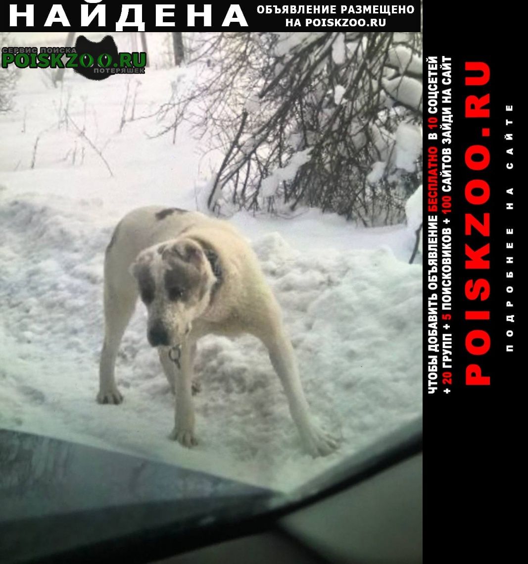 ���� ������� ������ ������ ������