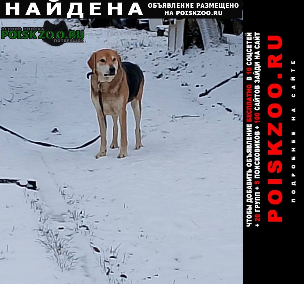 ���� ������� ������ ������