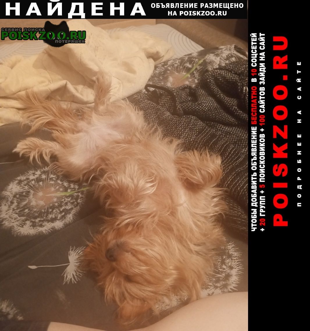 ���� ������� ������ 8 ������� 2025 ���� ���� �������