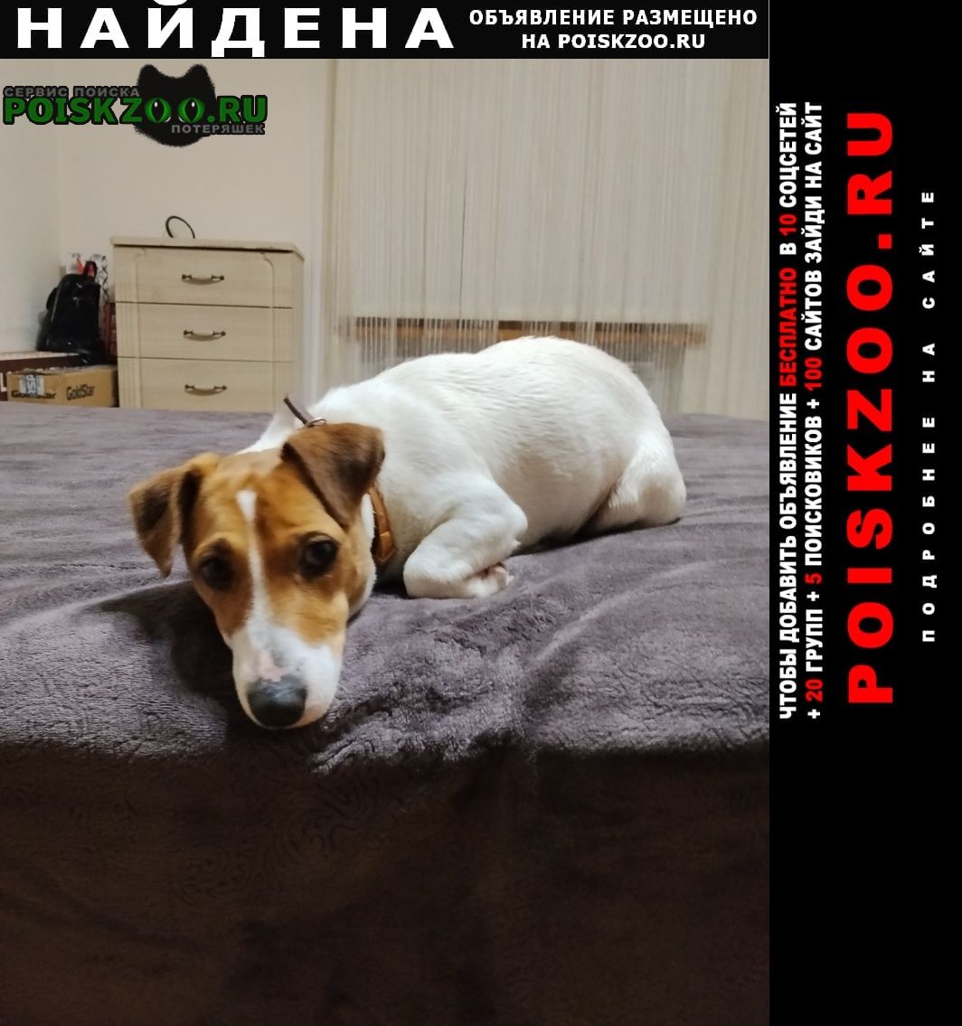 ���� ������� ������ ���� ������ �������