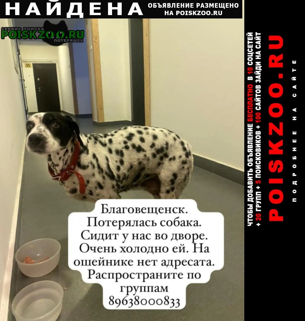 ���� ������� ������