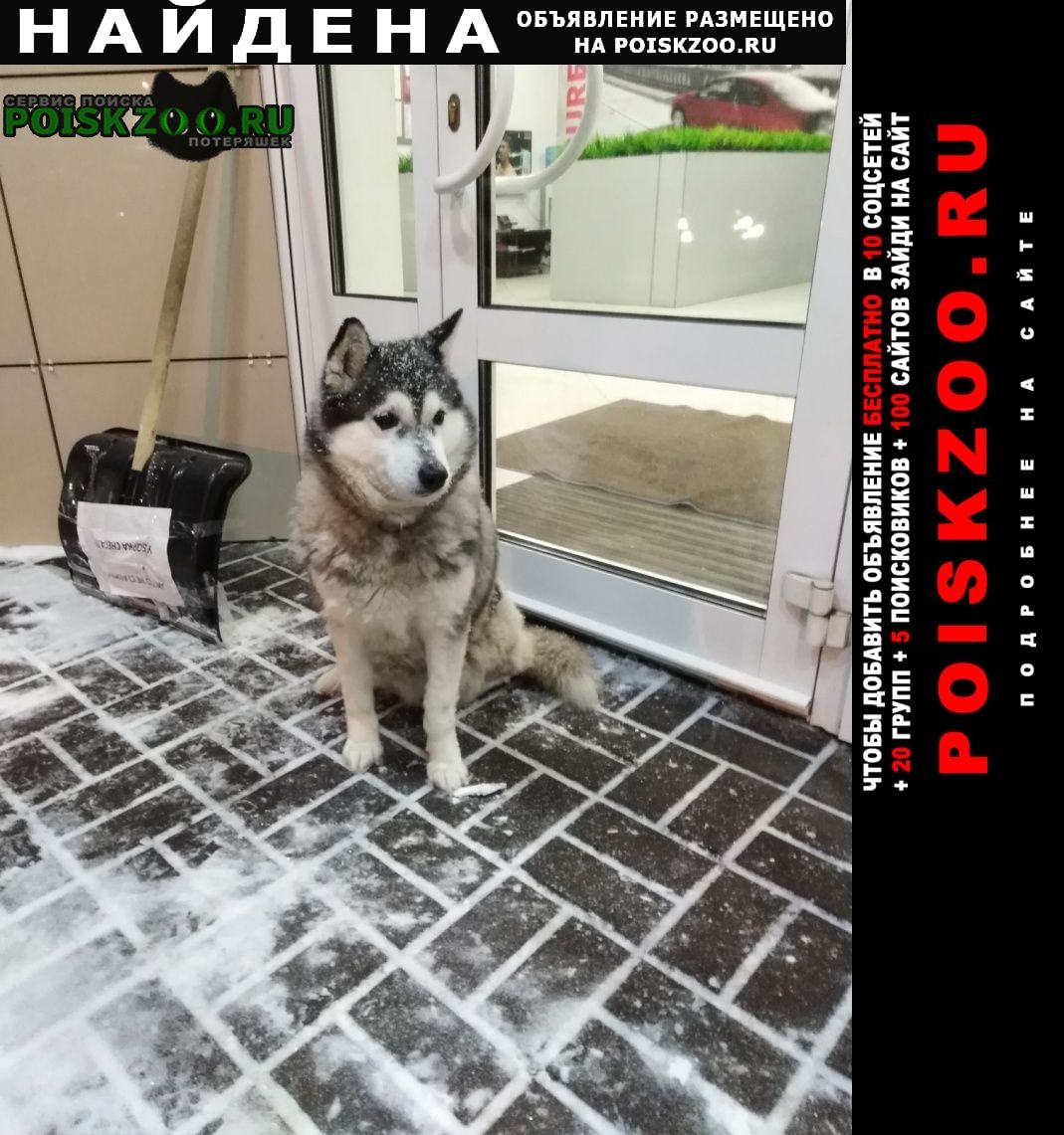 ���� ������� ������ ���