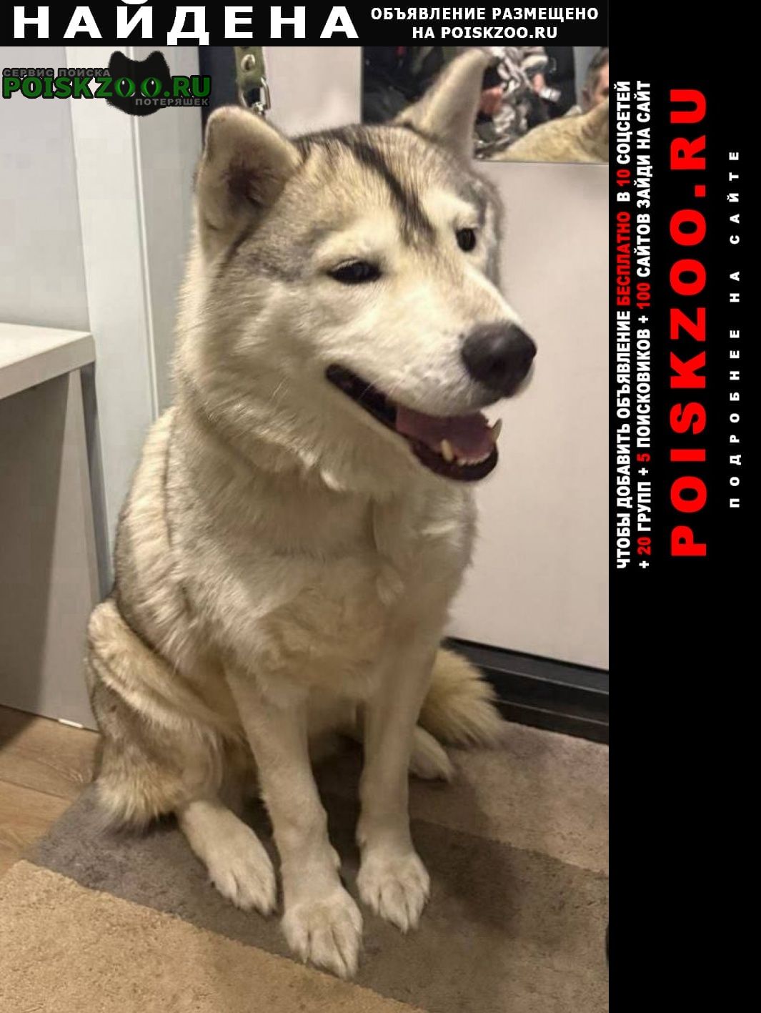 ���� ������� ������ �����