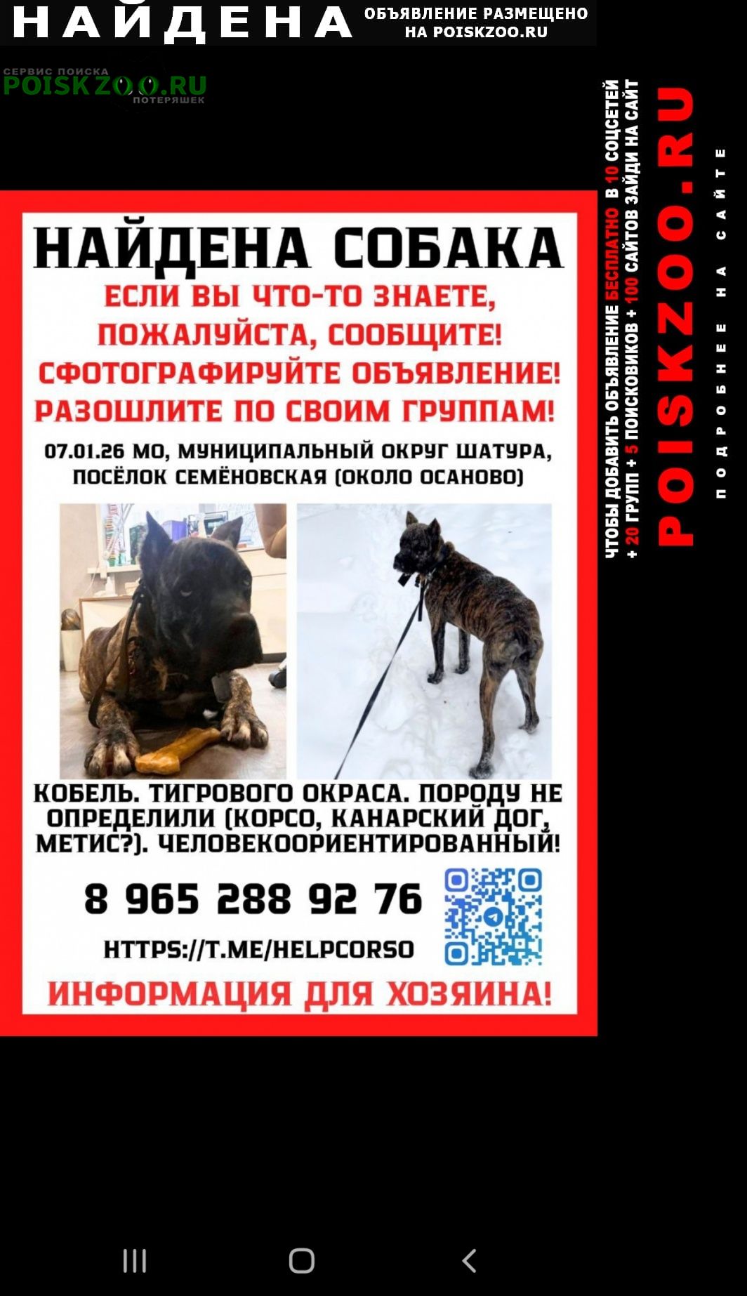 ���� ������� ������ ������ ����� �� ���� ����� ������