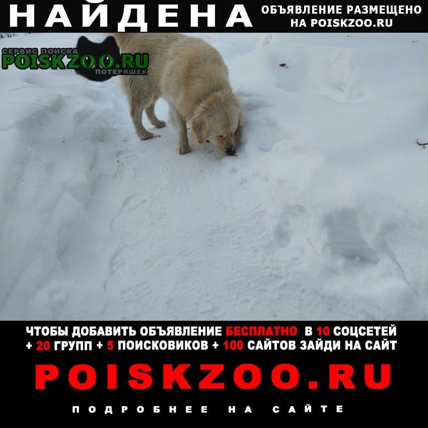 ���� ������� ������ ������ �� �� �����������