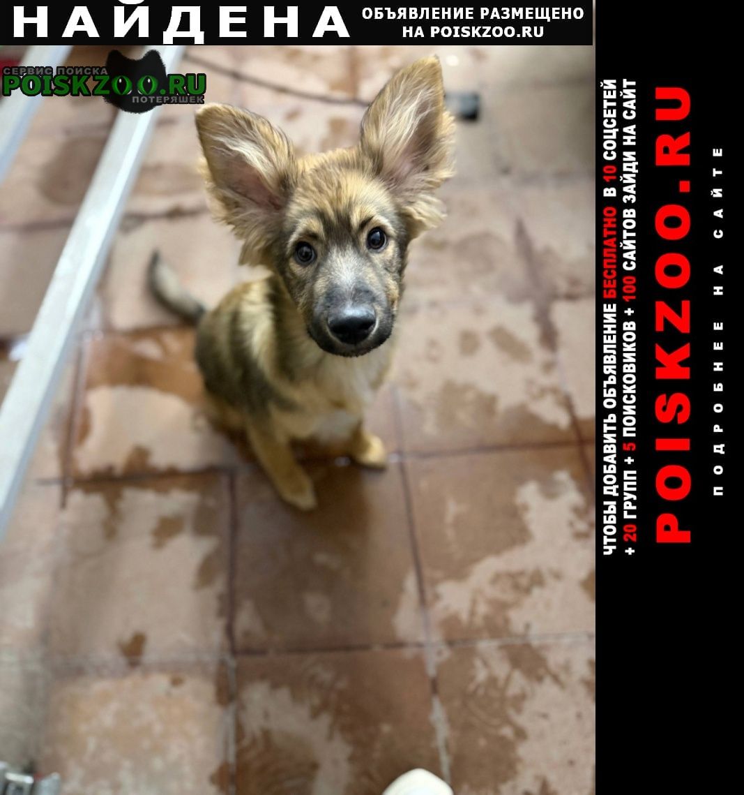 ���� ������� ������ ������ �����