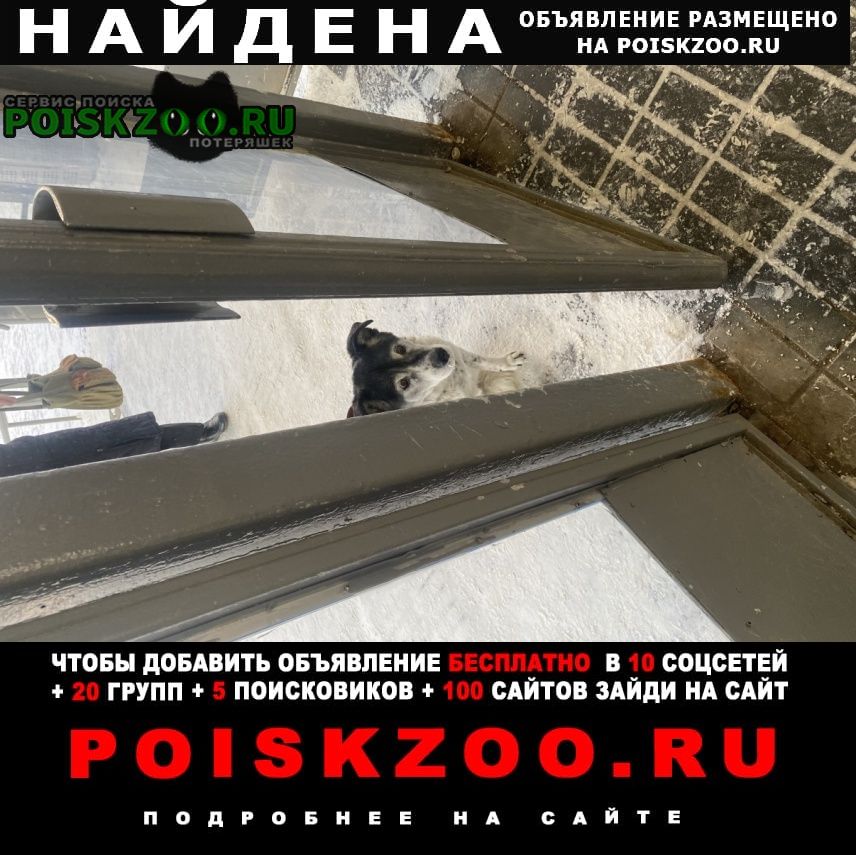 ���� ������� ������