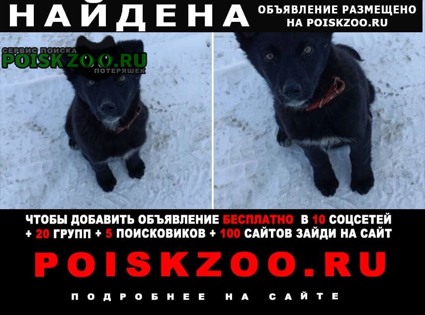 ���� ������� ������ ������ �����