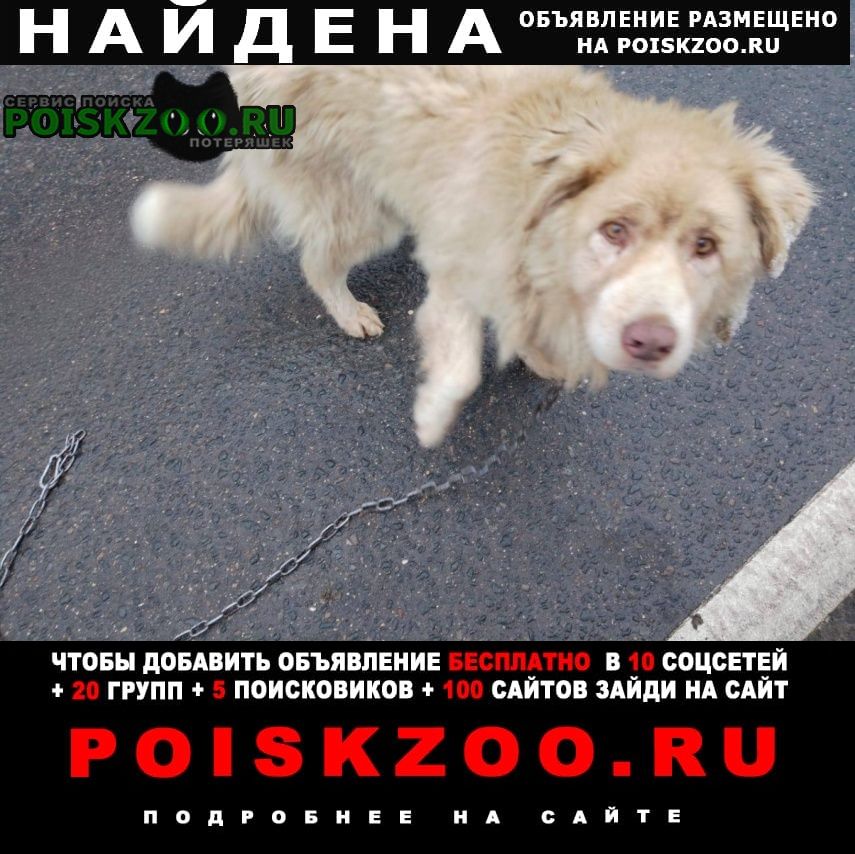 ���� ������� ������ ������ ������ � ����