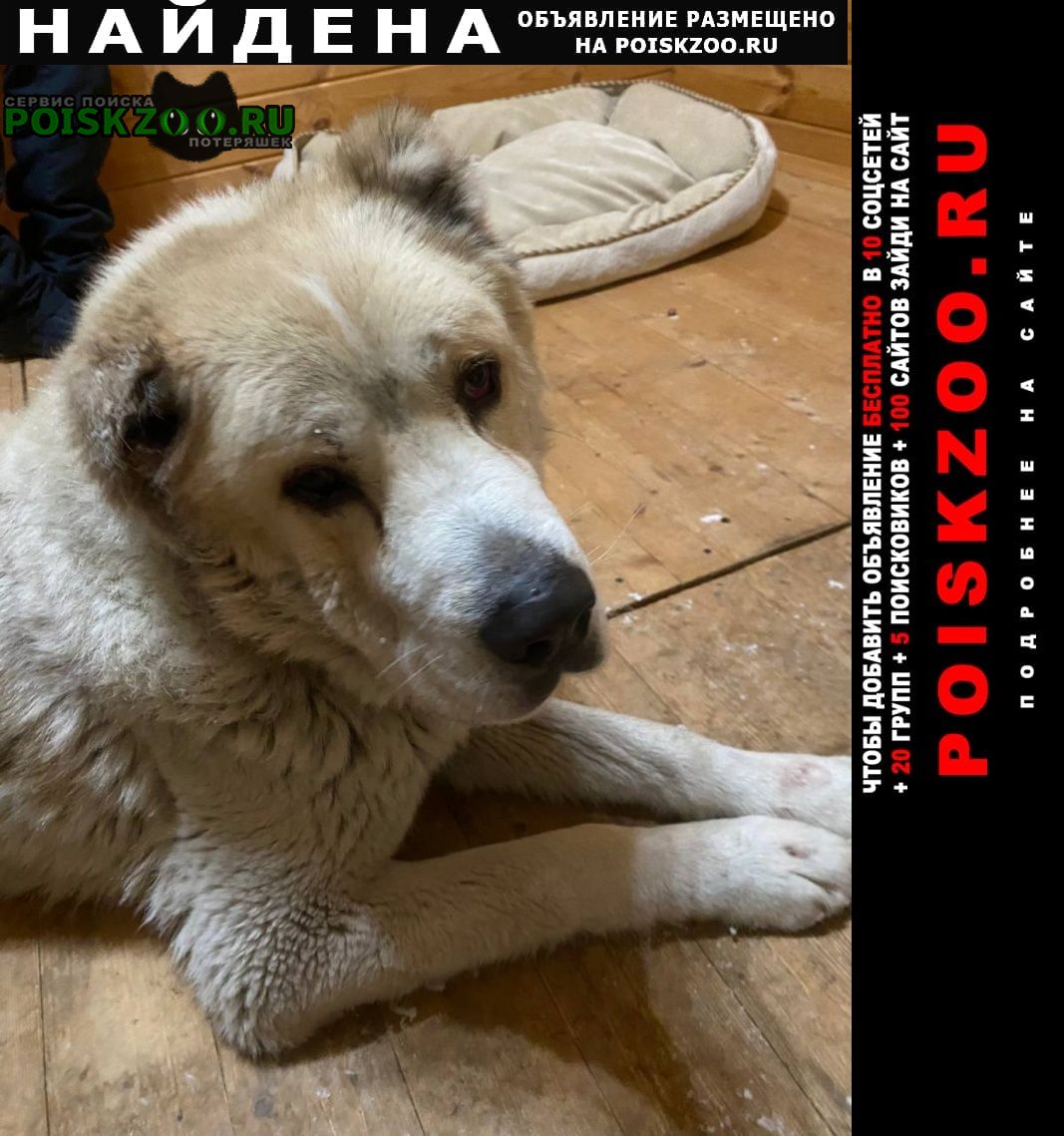 ���� ������� ������ ������ ������